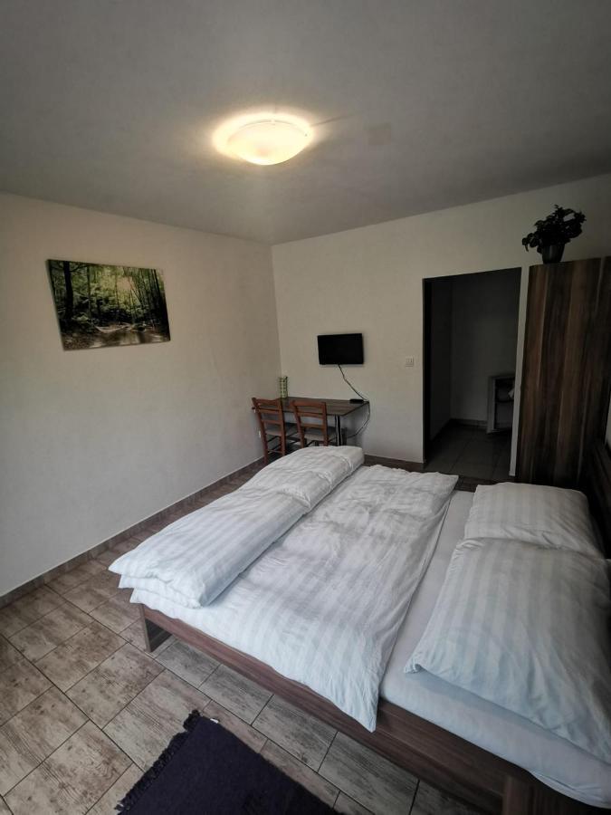 Apartmany Pod Landstejnem Stare Mesto  エクステリア 写真