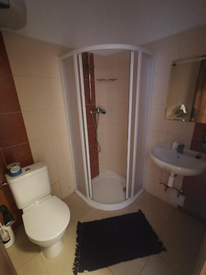 Apartmany Pod Landstejnem Stare Mesto  エクステリア 写真